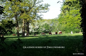Vakantie Elburg